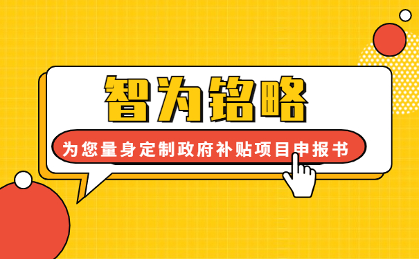 智為銘略為您量身定制2年的政府補(bǔ)貼項(xiàng)目咨詢(xún)方案書(shū)