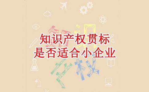 蘇州知識產(chǎn)權(quán)貫標，蘇州科技項目咨詢公司知識產(chǎn)權(quán)貫標是否適合小企業(yè)