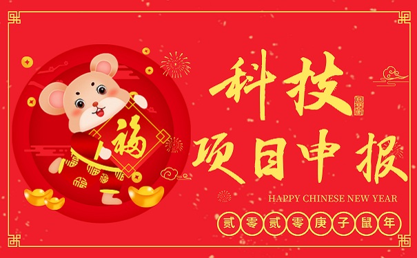科技項(xiàng)目咨詢(xún)