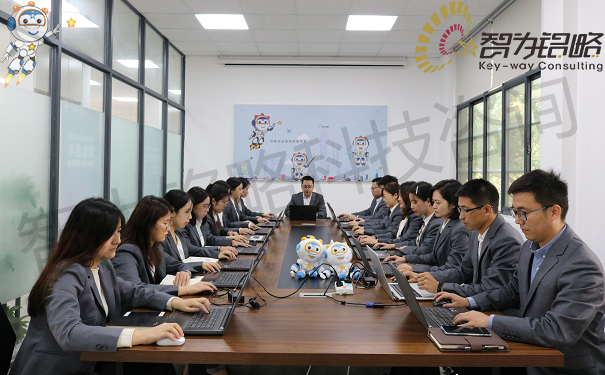 高新技術企業(yè)申報