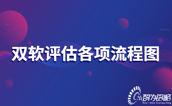 雙軟評估各項(xiàng)流程圖