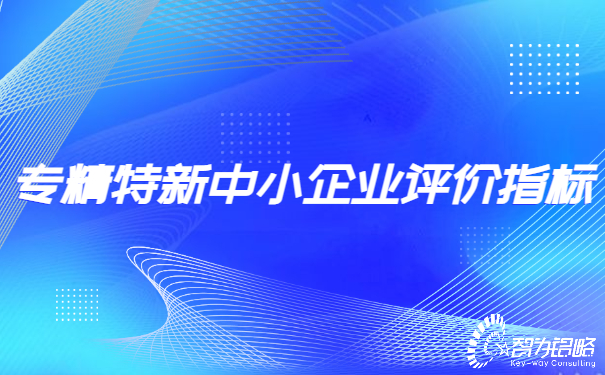 專(zhuān)精特新中小企業(yè)評(píng)價(jià)指標(biāo).jpg