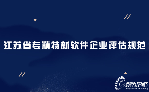 江蘇省專(zhuān)精特新軟件企業(yè)評(píng)估規(guī)范.jpg