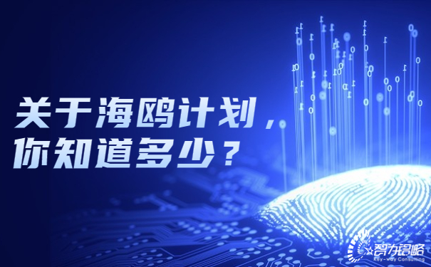 關(guān)于海鷗計(jì)劃，你知道多少？.jpg