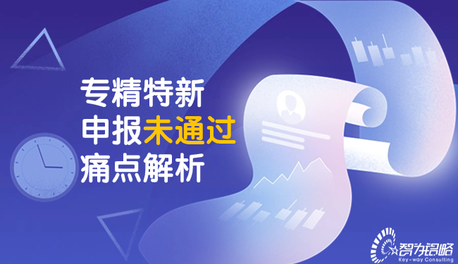 專(zhuān)精特新申報(bào)未通過(guò)痛點(diǎn)解析.jpg