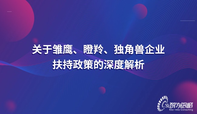 關(guān)于雛鷹、瞪羚、獨(dú)角獸企業(yè)扶持政策的深度解析.jpg