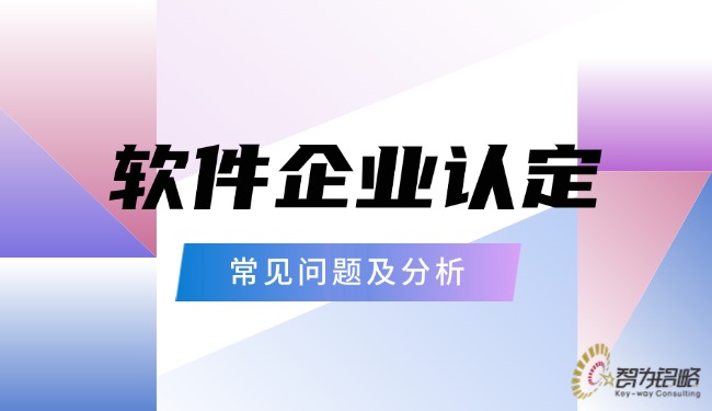 軟件企業(yè)認(rèn)定的常見問題及分析