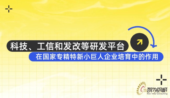 科技、工信和發(fā)改等研發(fā)平臺在國家專精特新小巨人企業(yè)培育中的作用.jpg